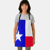 Texas Flag Schort (Insitu)