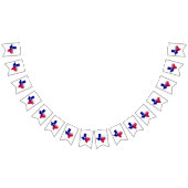 Texas Forever Vlag Kaart Vlaggetjes (Alle)