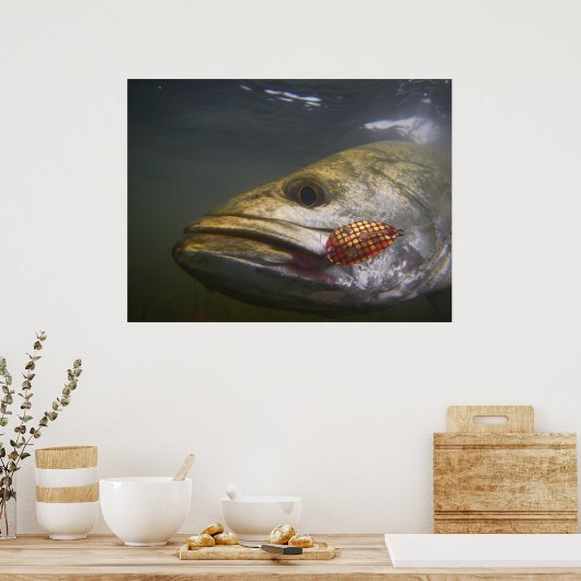 Texas — Gespikkelde forel Poster (Keuken)