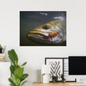 Texas — Gespikkelde forel Poster (Thuiskantoor)