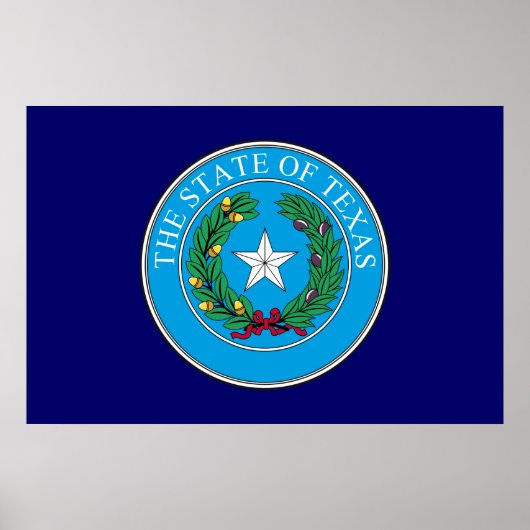 Texas Great Seal Poster (Voorkant)