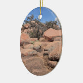 Texas Hill Country Enchanted Rock State Park Keramisch Ornament (Links)