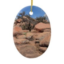 Texas Hill Country Enchanted Rock State Park