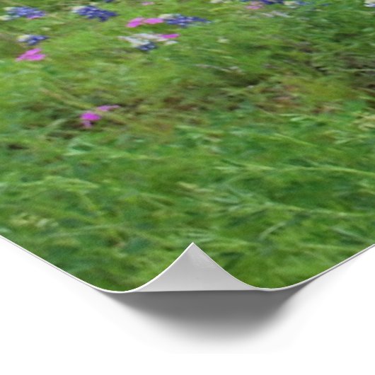 Texas Hill Country Print (Hoek)
