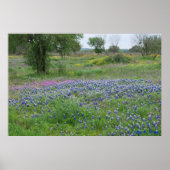 Texas Hill Country Print (Voorkant)