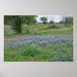 Texas Hill Country Print
