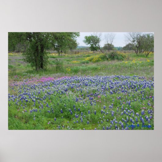 Texas Hill Country Print (Voorkant)