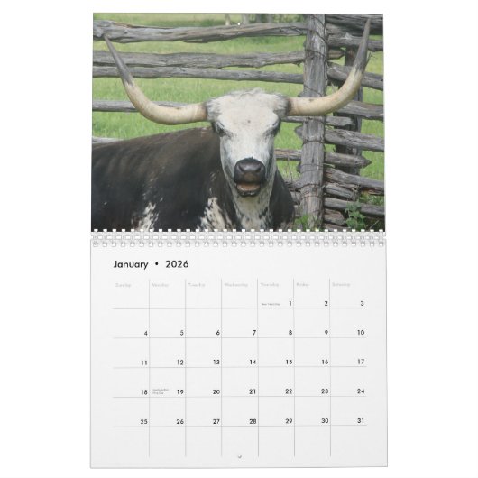 Texas Hill Land 2024 Kalender