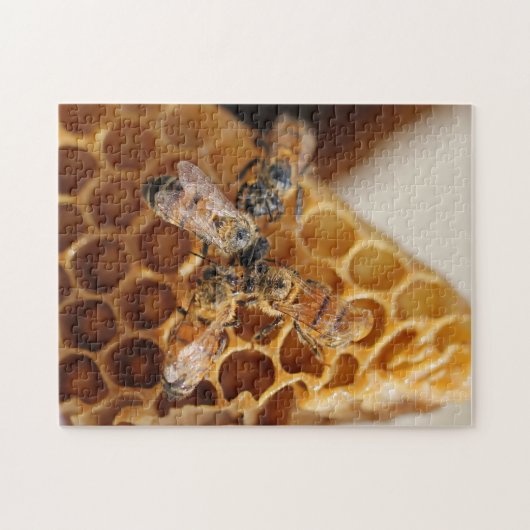 Texas Honeybees | Honeycomb Hive Legpuzzel (Horizontaal)