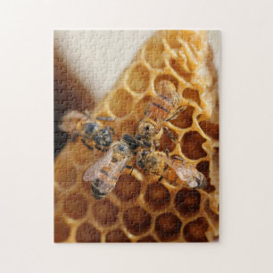 Texas Honeybees   Honeycomb Hive Legpuzzel