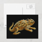 Texas Horned Lizard Briefkaart (Voorkant / Achterkant)