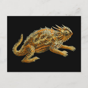 Texas Horned Lizard Briefkaart