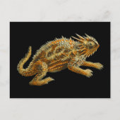 Texas Horned Lizard Briefkaart (Voorkant)