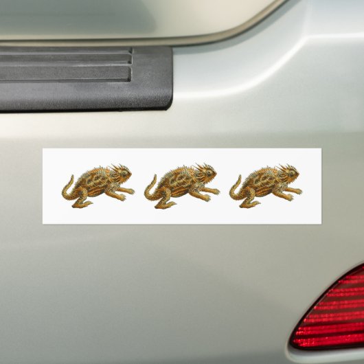 Texas Horned Lizard Bumpersticker (Op auto)