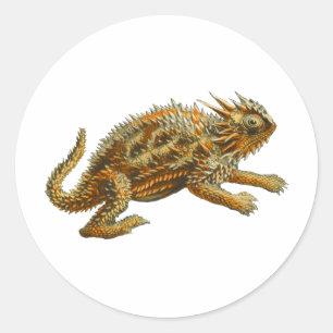 Texas Horned Lizard Ronde Sticker