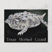 Texas Horned Lizard - Texas State Reptile Briefkaart (Voorkant)