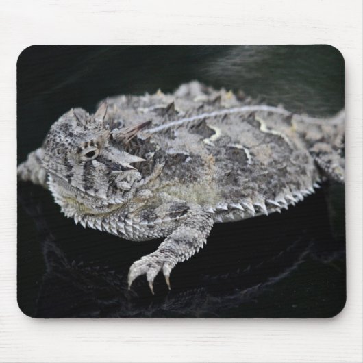 Texas Horned Lizard - Texas State Reptile Muismat (Voorkant)