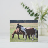Texas Horses Briefkaart (Staand voorkant)