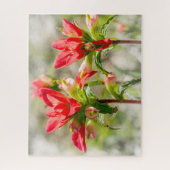 Texas Indian Paintbrush Bloemen op wit Legpuzzel (Verticaal)