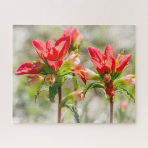 Texas Indian Paintbrush Bloemen op wit Legpuzzel