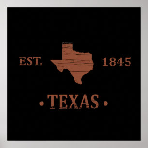 Texas kaart de lone star staat poster