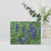 Texas, Lake Buchanan. Texas Bluebonnet en Wild Briefkaart (Staand voorkant)