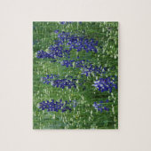 Texas, Lake Buchanan. Texas Bluebonnet en Wild Legpuzzel (Verticaal)