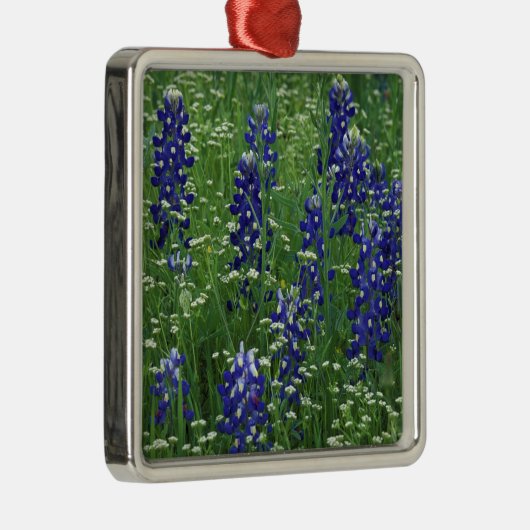 Texas, Lake Buchanan. Texas Bluebonnet en Wild Metalen Ornament (Rechts)