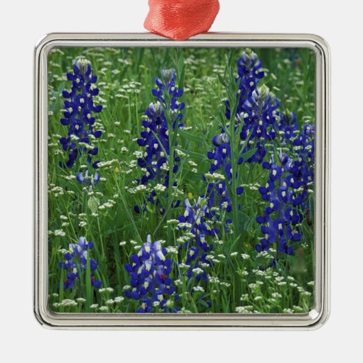 Texas, Lake Buchanan. Texas Bluebonnet en Wild Metalen Ornament (Voorkant)