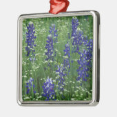 Texas, Lake Buchanan. Texas Bluebonnet en Wild Metalen Ornament (Links)