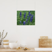 Texas, Lake Buchanan. Texas Bluebonnet en Wild Poster (Keuken)