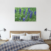 Texas, Lake Buchanan. Texas Bluebonnet en Wilde Canvas Afdruk (Insitu (Slaapkamer))
