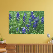 Texas, Lake Buchanan. Texas Bluebonnet en Wilde Canvas Afdruk (Insitu (Woonkamer))