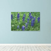 Texas, Lake Buchanan. Texas Bluebonnet en Wilde Canvas Afdruk (Insitu (Houten vloer))