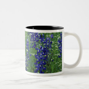 Texas, Lake Buchanan. Texas Bluebonnet en Wilde Tweekleurige Koffiemok
