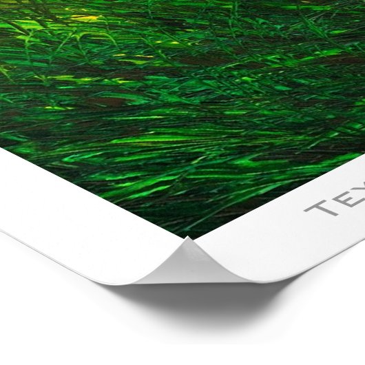 Texas Landscape Poster (Hoek)