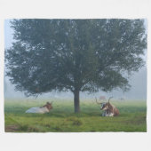 TEXAS LANGE HOORNS FLEECE DEKEN (Voorkant (Horizontaal))
