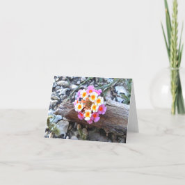 Texas Lantana Flower - leeg Wenskaart Bedankkaart