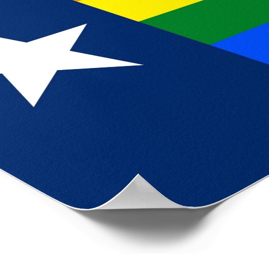 Texas LGBT Gay Pride Rainbow Flag Poster (Hoek)