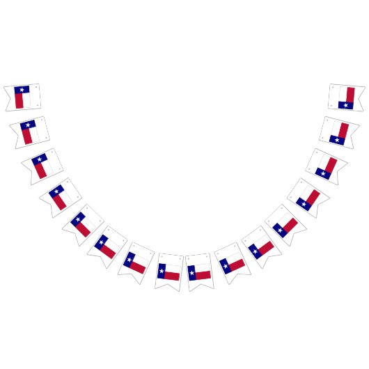 Texas Lone Star Flag Vlaggetjes (Alle)