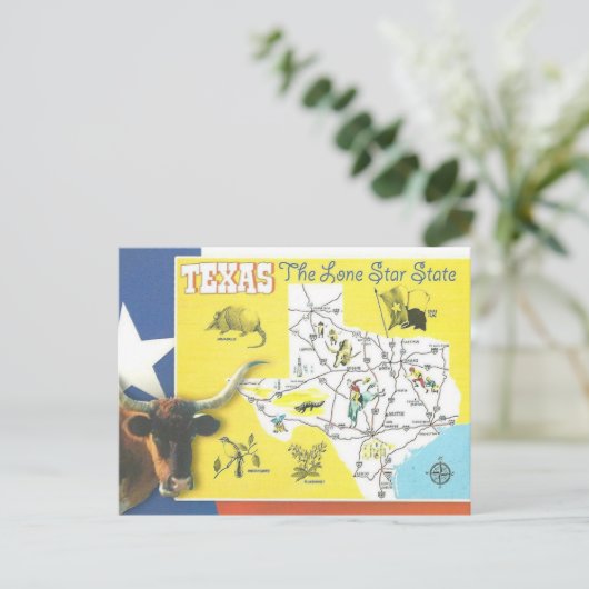 Texas  Lone Star State Briefkaart (Staand voorkant)