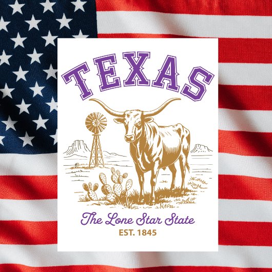 Texas Lone Star State Bull Illustration Travel Briefkaart