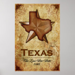 Texas - Lone Star State Poster