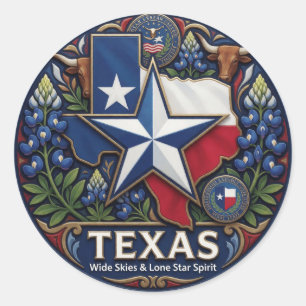 Texas Lone Star-symbolen en staats trots ✦ Ronde Sticker