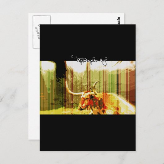 Texas Long Horn Briefkaart (Voorkant / Achterkant)