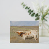 Texas Long Horn Briefkaart (Staand voorkant)