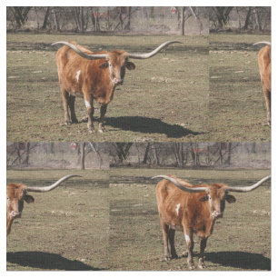 Texas Long Horns. Stof