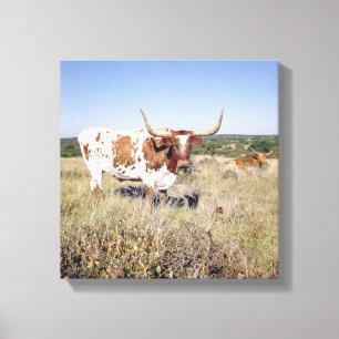 Texas Longhorn Breed (foto) Canvas Afdruk