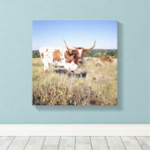 Texas Longhorn Breed (foto) Canvas Afdruk (Insitu (Houten vloer))