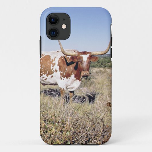 Texas Longhorn Breed (foto) Case-Mate iPhone Case (Achterkant)